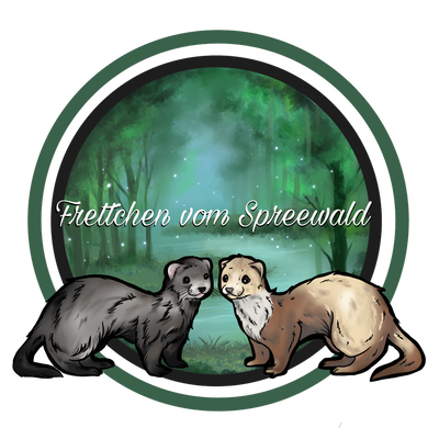 Frettchen-vom-Spreewald